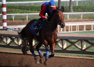 Based on his Monday workout, American Pharoah moves into the top favorite spot.